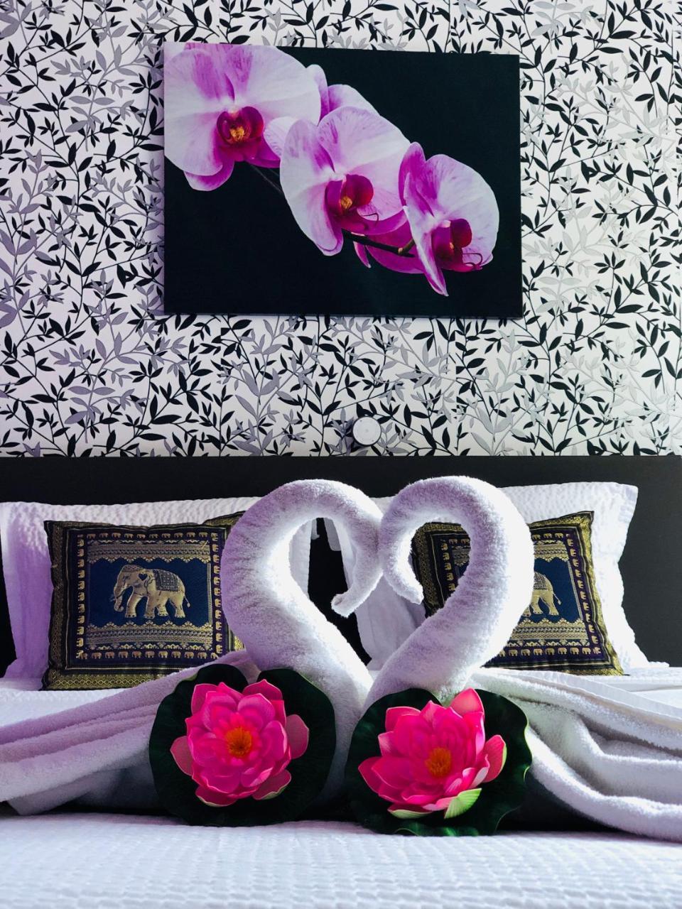 B&B Kookhai Kluisbergen Extérieur photo